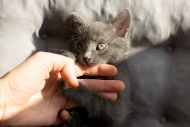 Similar image 21232737