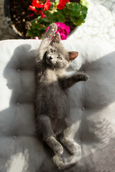 Similar image 21232739