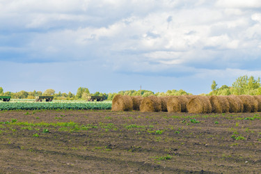 Similar image 21211895