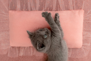 Similar image 21206889