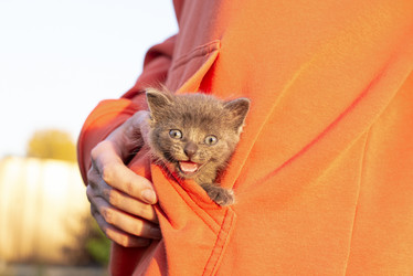 Similar image 21206894