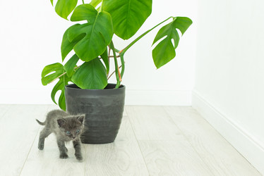 Similar image 21206895