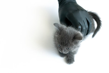 Similar image 21206900