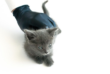 Similar image 21206901