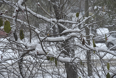 Similar image 21227393