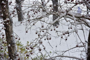 Similar image 21227394