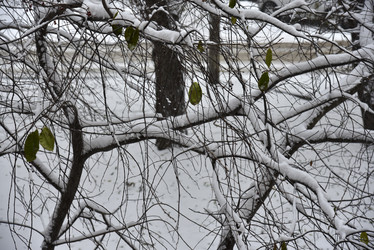 Similar image 21227395