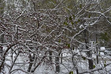 Similar image 21227396