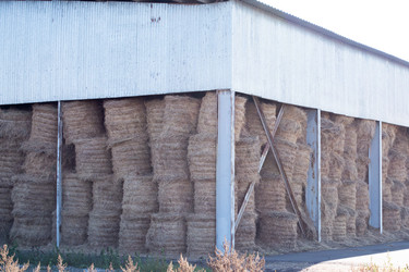 Similar image 21232766