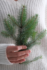 Similar image 21232771