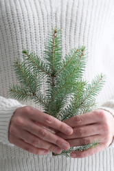 Similar image 21244903