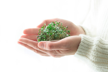 Similar image 21248929