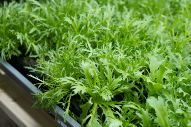 Similar image 21248933