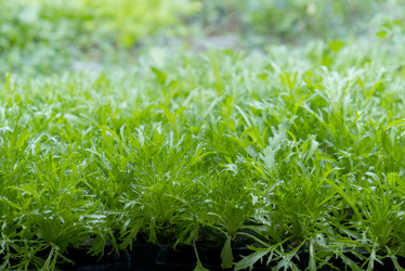 Similar image 21248936