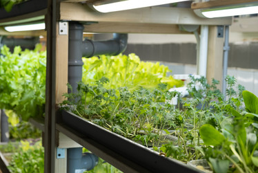 Similar image 21248938