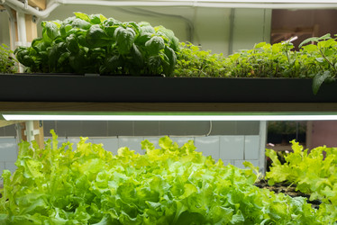 Similar image 21249118