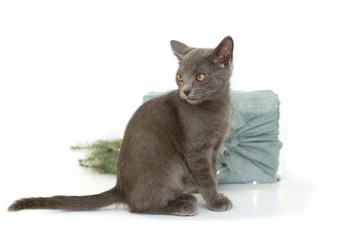 Similar image 21249119