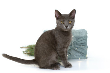 Similar image 21249121