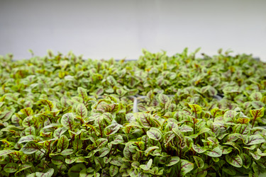 Similar image 21249122