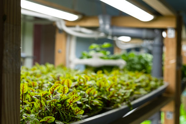 Similar image 21249124