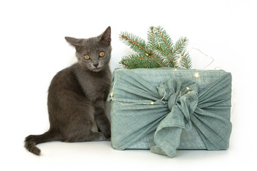 Similar image 21249125