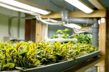 Similar image 21249126