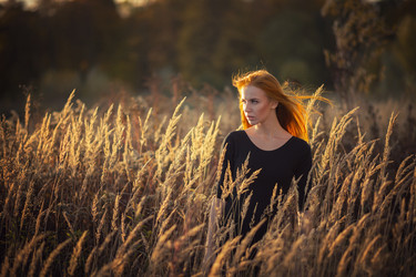 Similar image 21244089