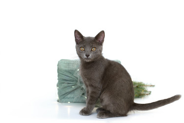 Similar image 21220689