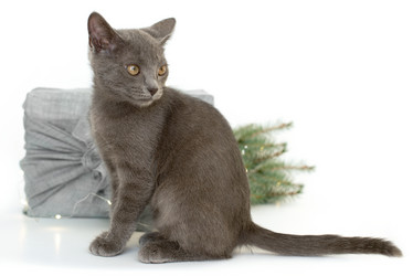 Similar image 21220735