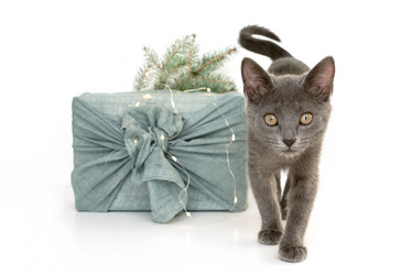 Similar image 21220736