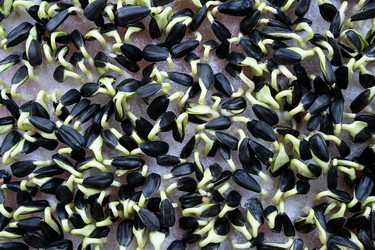 Similar image 21232350