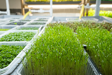 Similar image 21232356