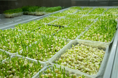 Similar image 21232358