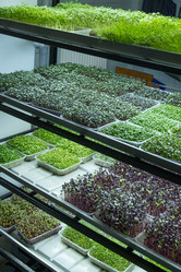 Similar image 21232360