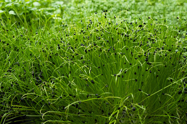 Similar image 21232361