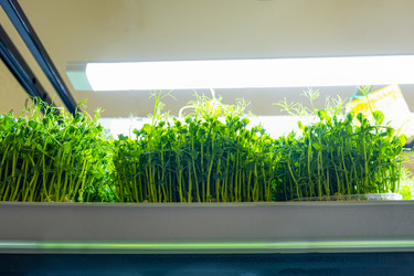 Similar image 21232775