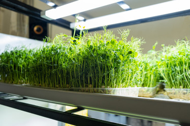 Similar image 21232776