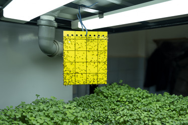 Similar image 21232777