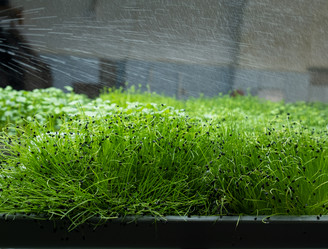 Similar image 21232778