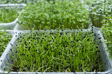 Similar image 21232781