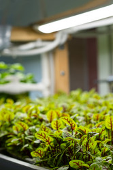 Similar image 21232783