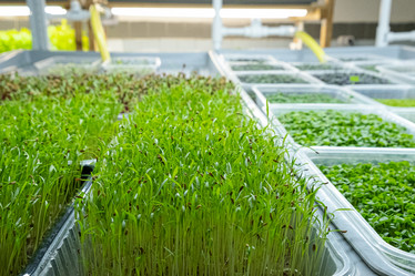 Similar image 21232786