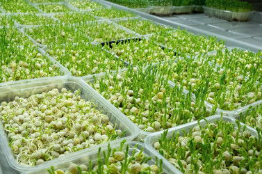 Similar image 21232790