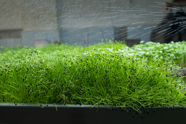 Similar image 21232794