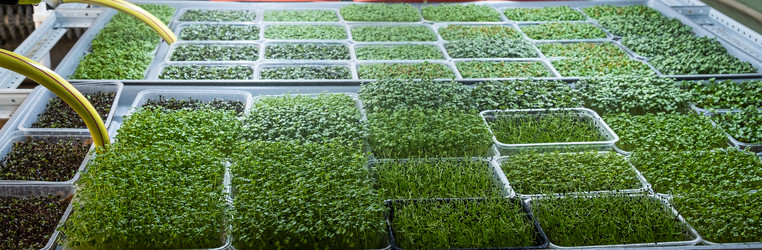 Similar image 21232796