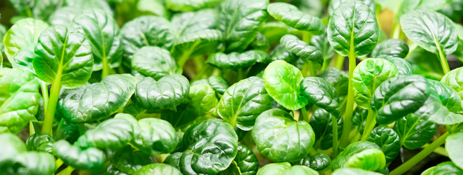 Similar image 21248751