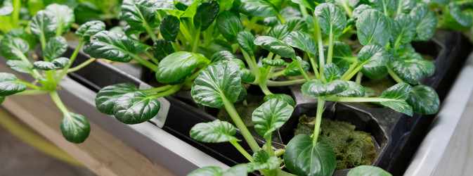 Similar image 21248753