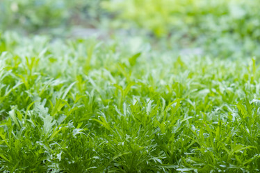 Similar image 21248759