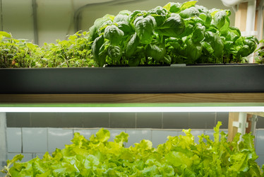 Similar image 21248942