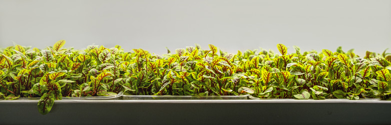 Similar image 21248943